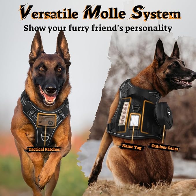 rabbitgoo Dog Harness for Large Dogs No Pull, Tactical Service Pet Vest with Molle and Control Handle, Adjustable and Reflective Military Harness for Easy Walking and Training, Black, XL