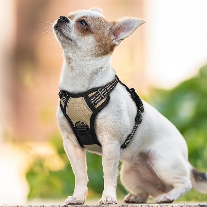 rabbitgoo Dog Harness No Pull with 2 Leash Clips, Adjustable Soft Padded, Reflective Oxford No Choke Pet Vest with Easy Control Handle for Puppy, Beige, XS