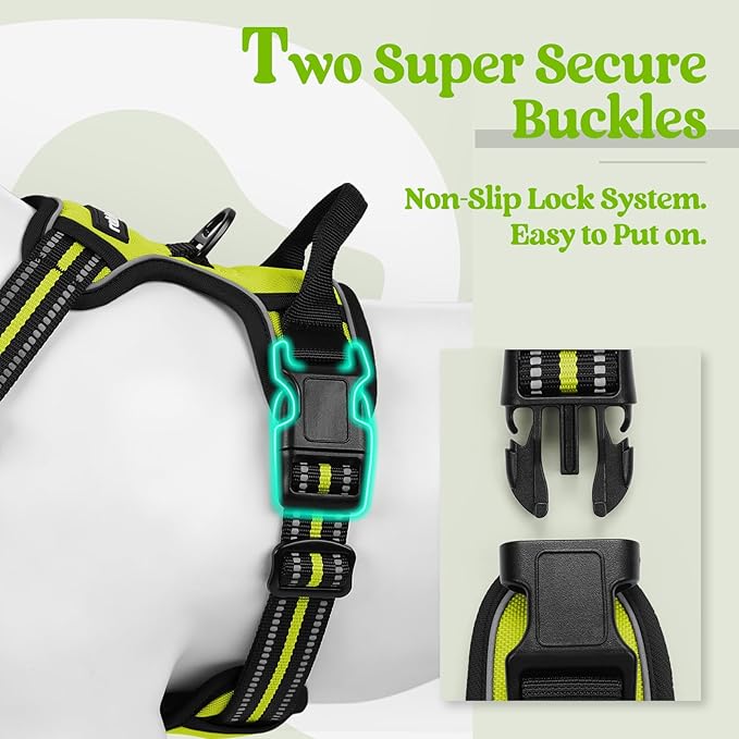rabbitgoo Dog Harness No Pull with 2 Leash Clips, Adjustable Soft Padded, Reflective Oxford No Choke Pet Vest with Easy Control Handle for Small Dogs, Wild Lime,S