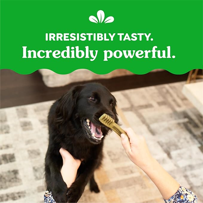 Greenies Weight Management Regular Dog Dental Chews Weight Control Dog Treats, 27 oz. Pack (27 Treats)