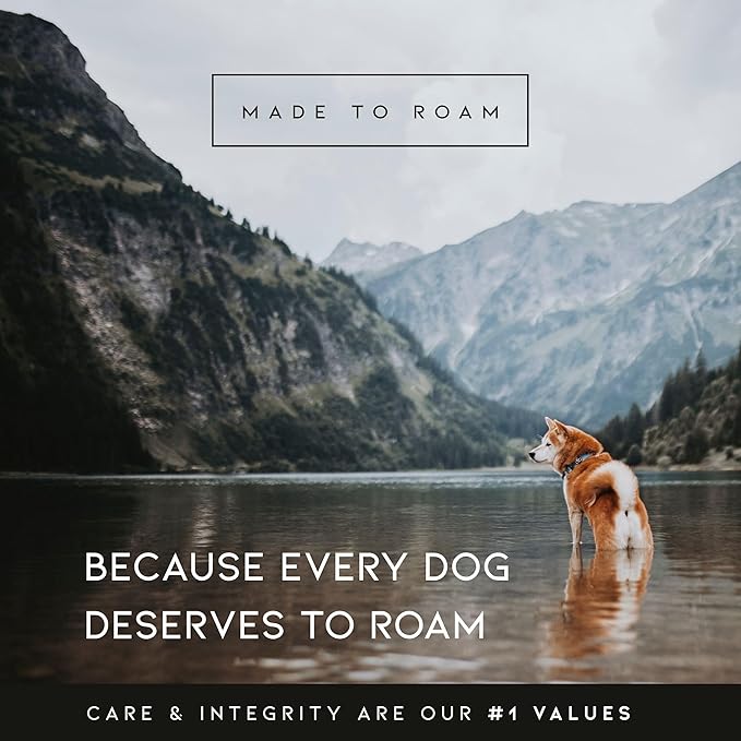 MADE TO ROAM Premium Explorer Harness - Y-Shaped Dog Harness with Adjustable Durable Nylon, Soft Padding, Metal Buckles and Leather Handle for Small, Medium, Large Dogs (Arizona Heartbeat, Size 5)