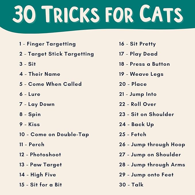The Click Crusade (Cat Training Card Game Guide to Clicker Training for Cats for Teaching Tricks, Improving Communication and Bonding with Your Kitten (Clicker not Included)
