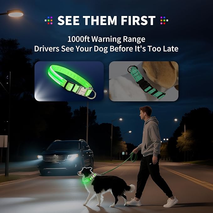 LED Dog Collar with Metal Buckle - USB Rechargeable Glow Collar for Dogs, Waterproof Light Up Dog Collar w/Reflective Strips - Adjustable Night Safety Collars by PetIsay(Pink,Large)