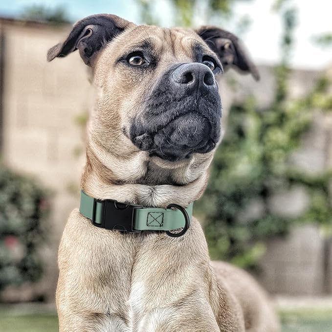 Dogline Biothane Waterproof Dog Collar with Quick Release Buckle Strong Coated Nylon Webbing with Odor- Proof for Easy Care Easy to Clean Fits Small Medium Large Dogs, Sage Green 5/8" W 9-14" L