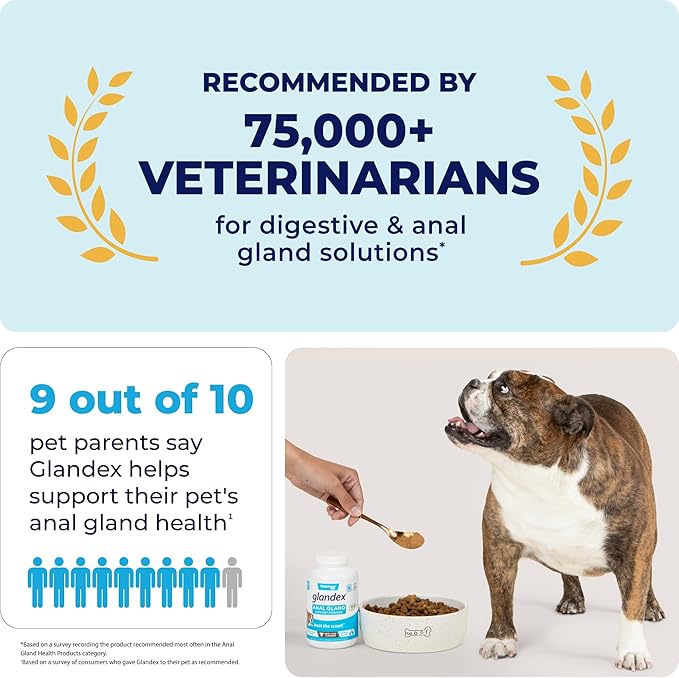 Vetnique Labs Glandex Dog Fiber Supplement Powder for Anal Glands with Pumpkin, Digestive Enzymes & Dog Probiotics for Digestive Health - Vet Recommended - Boot The Scoot (Beef Liver, 2.5oz Powder)