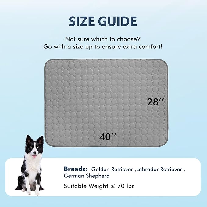 MICROCOSMOS Summer Cooling Mat & Sleeping Pad- Water Absorption Top, Easy Carry, EZ Clean, Materials Safe. Keep Cooling for Pets, Kids and Adults.(Dark Grey, 40" x 28")