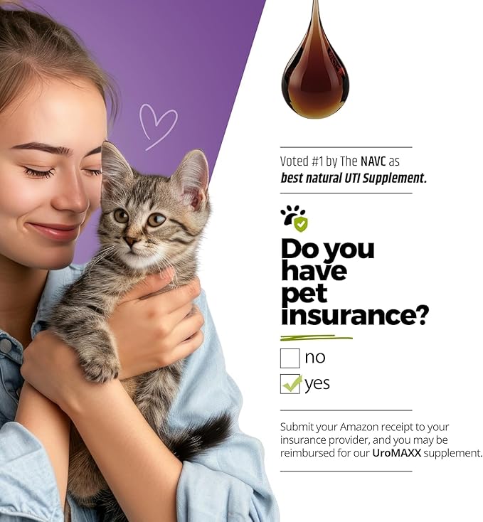 Cat & Dog Urinary Tract Treatment, Bladder & Kidney Support for Dogs and Cats, Powerful Yet Gentle Pet Care, with Liquid Cranberry & Glucosamine, Salmon Flavor, 6 oz Bottle, 2 Pack