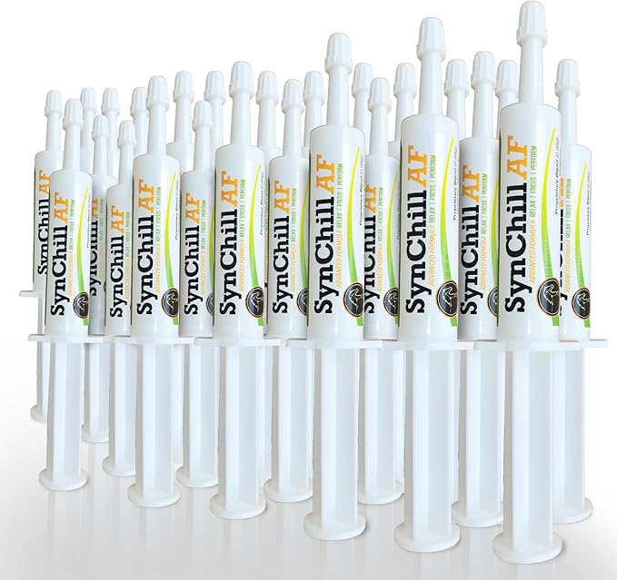 SynChill AF Calming Gel for Nervous Horses - Single Serving - Advanced Formula with L-Theanine, Increased Potency, 100% Natural Supplement, Disposition & Confidence Support for Horses - 25 Pack