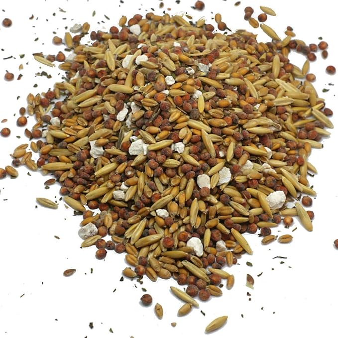 Pampered Chicken Mama Backyard Feed - Premium Scratch Treat - High Protein & Calcium All-Natural Grower Feed Supplies for Laying Chickens (2.5 Pounds)