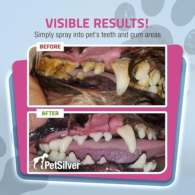 PetSilver Teeth & Gum Spray - Dog Dental & Teeth Cleaning Spray for Plaque & Tartar Build-Up Reduction - Natural Breath Freshener for Dogs & Cats - Patented Chelated Silver - Made in USA - 4oz, 2-Pack