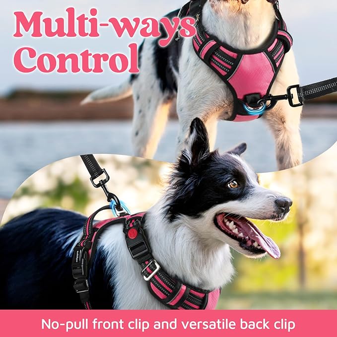 rabbitgoo Dog Harness for Large Dogs, No Pull Pet Vest with 3 Buckles, Adjustable Soft Padded Pet Harness with Easy Control Handle and Reflective Strips, Pink, XL