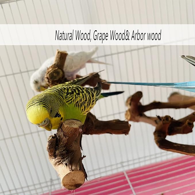 Allazone 5 PCS Natural Wooden Parrot Stand Bird Perch Stand Grape Stick Hanging Multi Branch Perch for Parrots, Bird Cage Accessories