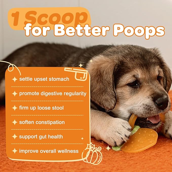 ZEBORA Pumpkin for Dogs - Natural Fiber for Dogs and Cats, Apple, Dog Probiotics for Digestive Health, Support Firm Stool, Diarrhea, Constipation, Add Water to Make Pumpkin Puree for Dogs, 10.58 oz