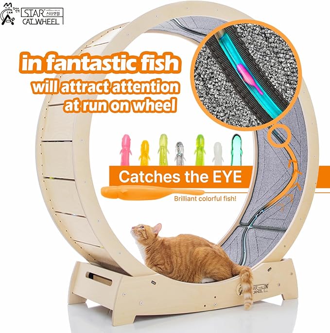 Star Cat Wheel, Cat Treadmill, Exercise Wheel for Running, Spinning, Scratching, and Climbing for Indoor Cats, Premium Birch Wood, Eco-Friendly, Moving Fish, Wide Running Track, 41.7 inch L Size