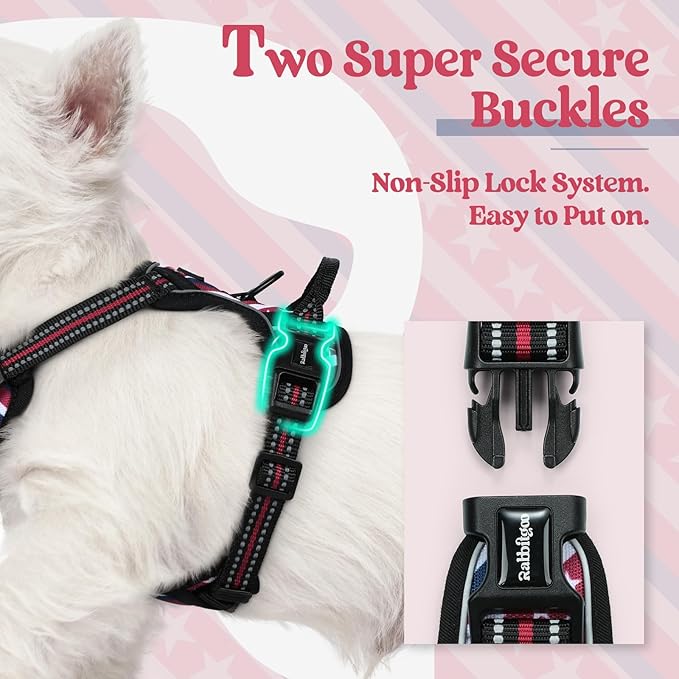 rabbitgoo Dog Harness No Pull with 2 Leash Clips, Adjustable Soft Padded, Reflective Oxford No Choke Pet Vest with Easy Control Handle for Large Dogs, Red Stripe, XS
