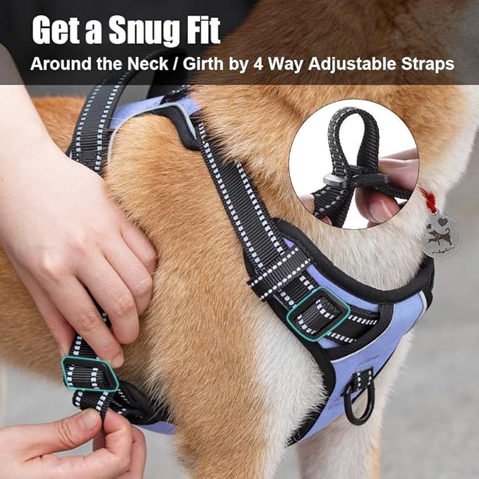 PoyPet No Pull Dog Harness, Reflective Comfortable Vest Harness with Front & Back 2 Leash Attachments and Easy Control Handle Adjustable Soft Padded Pet Vest for Small to Large Dogs (Light Blue,S)