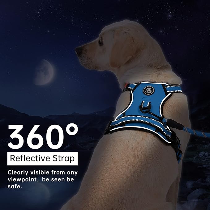 IVY&LANE No Pull Dog Harness for Medium Dogs, Dog Vest Harness with Leash, Safety Belt and Storage Strap, Fully Adjustable, 360 Reflective Strip, Soft Handle (Blue, M)