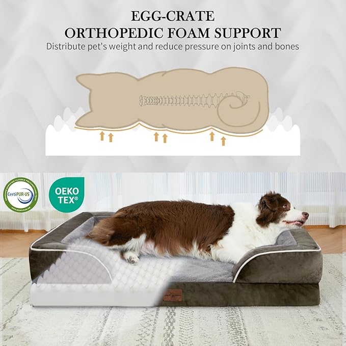 Comfort Expression XXL Orthopedic Dog Bed for Extra Large Dogs, Waterproof Orthopedic Foam Dogs Beds, Washable Dog Sofa Bed with Non-Slip Bottom & Removable Cover(XX-Large,Dark Green)