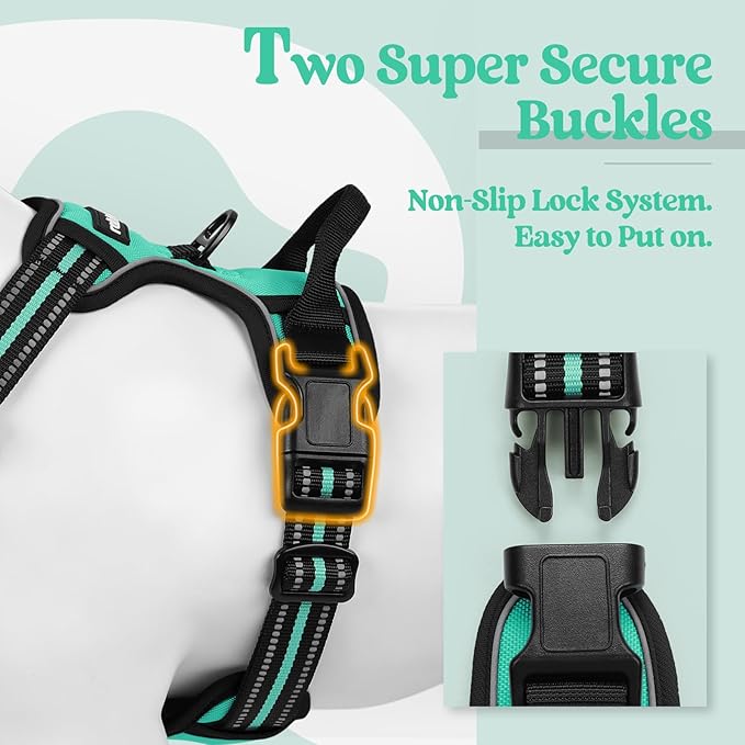 rabbitgoo Dog Harness No Pull with 2 Leash Clips, Adjustable Soft Padded, Reflective Oxford No Choke Pet Vest with Easy Control Handle for Small Dogs, Turquoise, S
