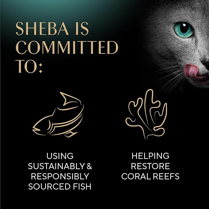 Sheba Perfect Portions Wet Cat Food Cuts in Gravy Variety Pack, Roasted Chicken Entree, with Sustainable Tuna, and Tender Turkey Entree, 2.6 oz. Twin-Pack Trays (36 Count, 72 Servings)