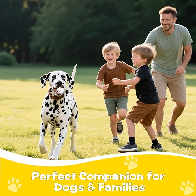 Dog Ball, 2.5 inch Dog Toy for Aggressive Chewers,ETPU Material Durable Ball for Launcher,Indestructible Bouncy Floating Balls for Dogs