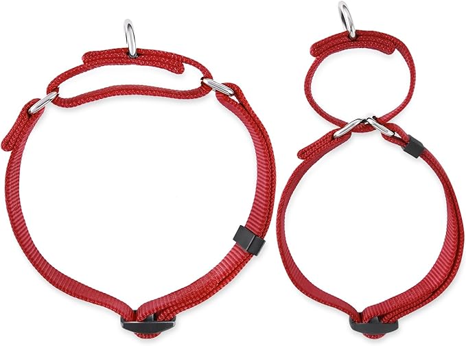 Hyhug Pets Premium Upgraded Heavy Duty Nylon Anti-Escape Martingale Collar for Boy and Girl Dogs Comfy and Safe - Professional Training, Daily Use Walking. (Small, Red)