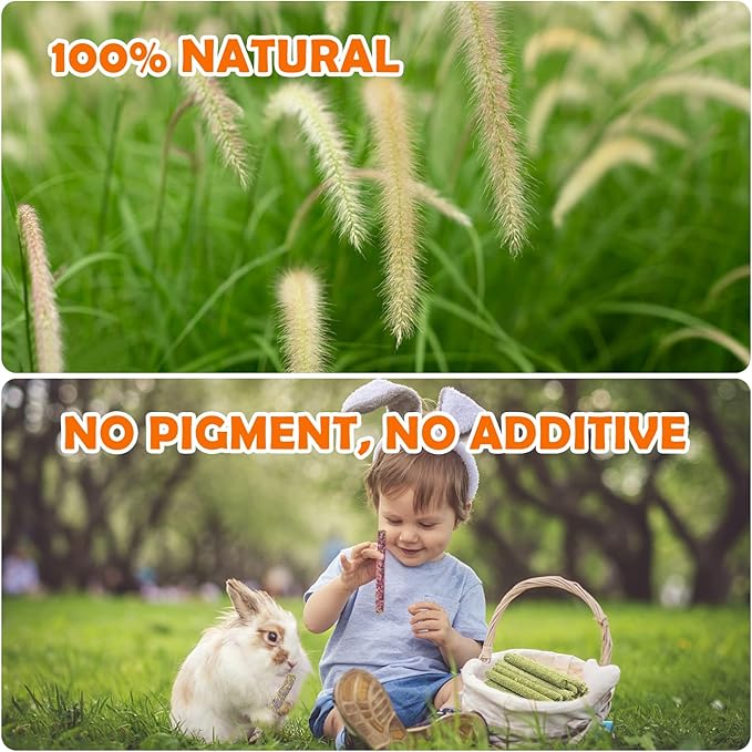 Sofier Timothy Hay Treats Rabbit Toys Bunny Toys Guinea Pig Hamster Natural Chews for Teeth Handmade Rabbit Chews and Treats Chinchilla Rat Gerbil