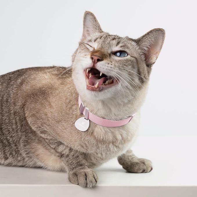 Safety Cat Collar Pro, Lightweight Elastic Release Non Breakaway Cat Collar Adjustable with Snap Fastener for Kitten All Small Large Cats,US IDA Gold Award (Midnight Black, S 5.9-11.8")
