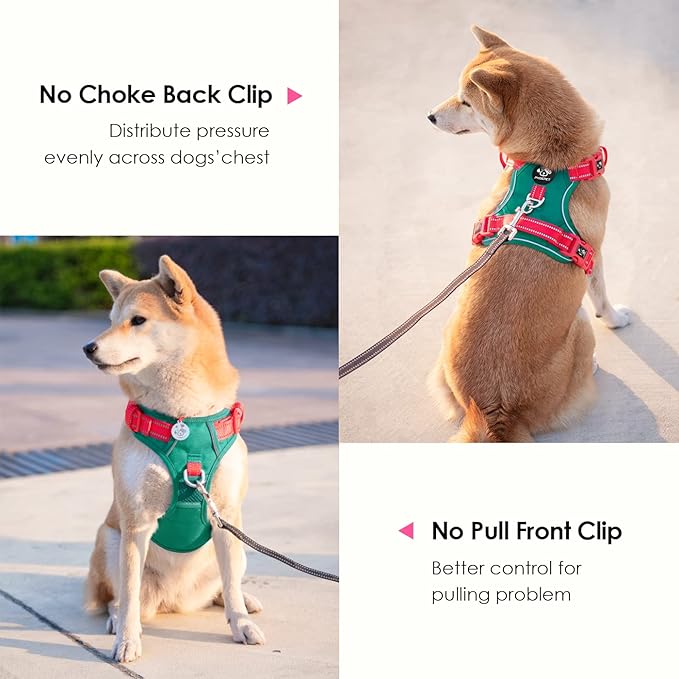 PHOEPET No Pull Dog Harness, Unique Colors Reflective Adjustable Dog Vest, with Soft Training Handle Metal Clips for Small Medium Large Dogs (Dark Green Base & Red Straps,XL)