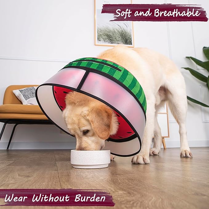 Inflatable Dog Cone Collar with Enhanced Anti-Licking, Soft Neck Donut for Dogs Cats, Recovery Pet Cone Collar After Surgery for Large Medium Small Dogs… (Watermelon, X-Large)