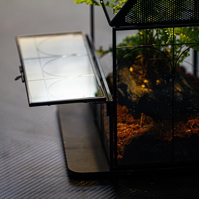 NCYP Glass Enclosure with Vent Holes for Insect, Jumping Spiders, Snails - 7.5" x 4.9" x 9" Small Closed Front Opening Door Succulent Terrarium - House Shape Habitat, Home Decor Black (No Plants)