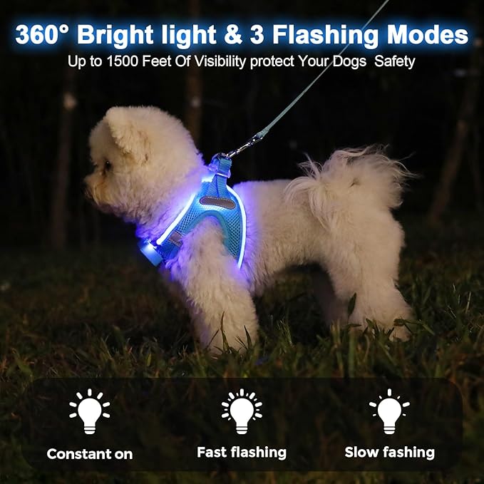 Light Up Dog Harness,Rechargeable LED Dog Harness for Small Medium Large Dogs,Reflective Lighted Safety Vest for Night Walking & Camping,Lightweight & Adjustable,Blue,M