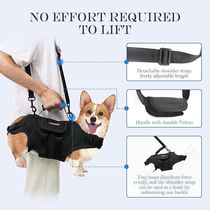 Dog Lift Harness, Full Body Support with Adjustable Control Handle for Medium Senior Dogs, Post-Surgery Recovery & Joint Problems (Oxford Cloth, M)