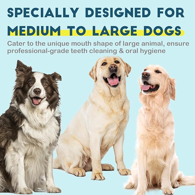 Dog Toothbrush Kit 2 Pack, Ultra Soft Pet Tooth Brush for Medium to Large Dogs & Cats, Animal Teeth Brushing Kit for Easy Dental Cleaning, 2 Pcs, Green