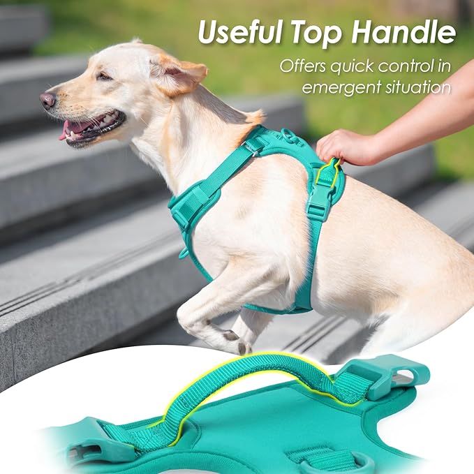 No Pull Dog Harness, Puppy Vest with Front Clip for Small Medium Large Sized Dog(MARRS Green,L)