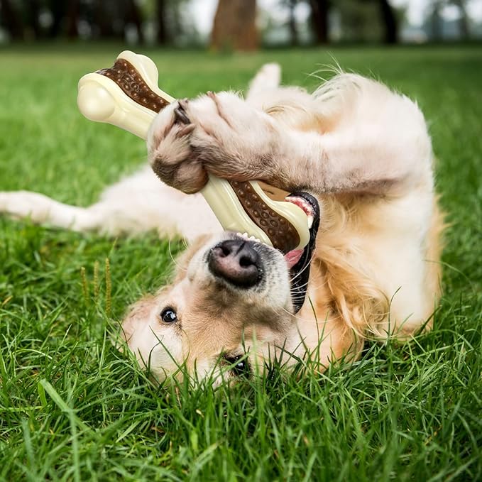 Sosation 6 Pcs Dog Toys for Aggressive Chewers Nylon Beef Flavor Bones Tough Puppy Teething Toys Puppy Chew Bones for Large Medium Small Breed Dogs Puppies Pets Chew Toys(Large)