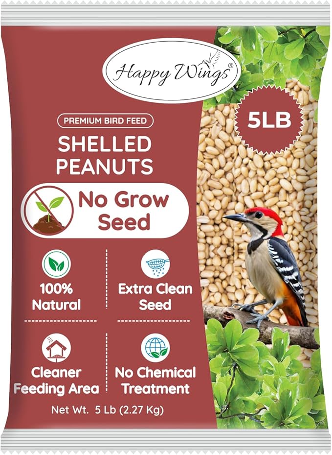 Shelled Peanuts Seeds Wild Bird Food - 5 Pounds I No Grow Seed I Bird Seed for Wild Birds