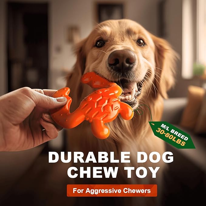 Dog Chew Toy for Aggressive Chewers – Durable Nylon Material, Tough Interactive Dog Toy for Large and Medium Dogs, Perfect for Teeth Cleaning and Gum Health, Christmas Birthday Gifts for Dogs