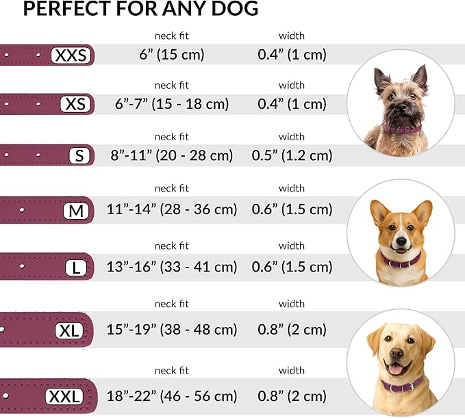 CollarDirect Rolled Leather Dog Collar, Soft Padded Round Puppy Collar, Handmade Genuine Leather Collar Dog Small Large Cat Collars 13 Colors (11-14 Inch, Pink Smooth)