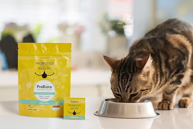 Probiora for Cats | Oral Care Probiotic Supplement | Pet Probiotics to Reduce Bad Breath | Cat Nutritional Supplement for Dental Health | 30 Servings (Jar) (30 Serving (Pack of 1), Pouch)