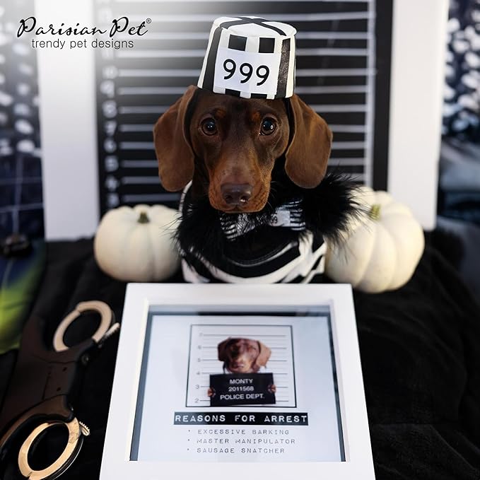 Parisian Pet Dog Shirt - Prisoner Dog Costume - 100% Cotton Black and White Stripes - Lightweight Polyester - Sleeved - 3XL