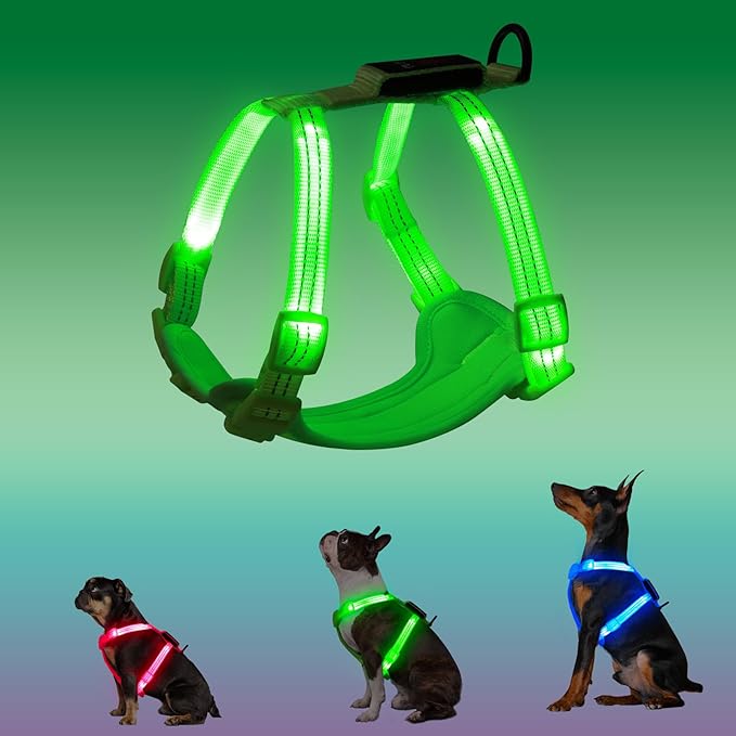 Rechargeable Light Up Dog Harness for Small Dogs – Adjustable LED Dog Vest with Reflective Strips, No Pull Glow in The Dark Puppy Harness for Night Walking Safety-Green