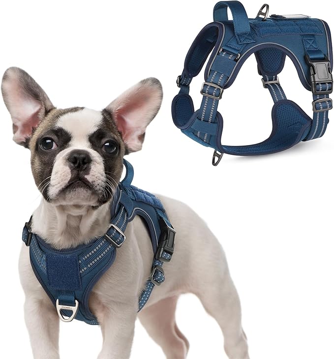 rabbitgoo Tactical Dog Harness for Small Dogs, No Pull Military Service Vest with Handle & Molle, Easy Control for Training Walking, Adjustable Reflective Straps, Blue, S