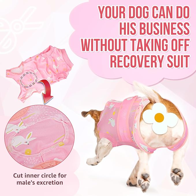 Lukovee Recovery Suit for Dogs, Zipper On Recovery Suit for Female Male Dog, Onesie Abdominal Wounds Cone E-Collar Alternative Prevent Licking Spay Recovery Suit (Large, A-Pink)