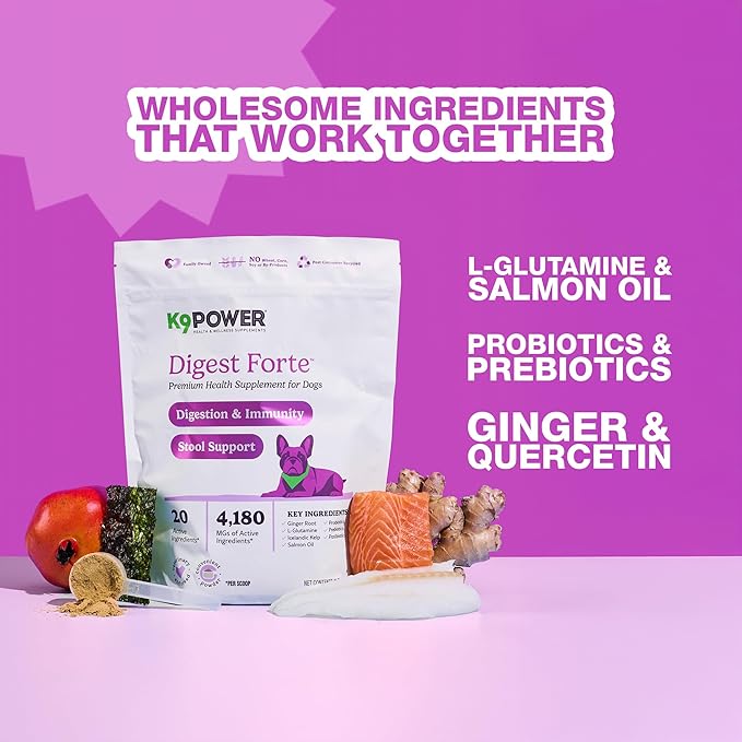 K9 Power Digest Forte for Dogs 1lb – Digestive, Immunity & Calming Support - Enhances Nutrient Absorption - Balances Gut Flora - Eases Discomfort & Boost Mood