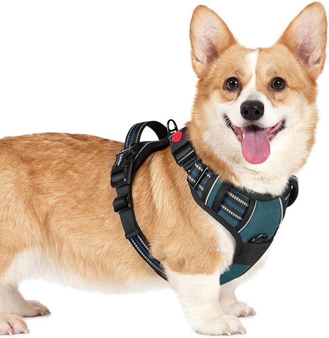 rabbitgoo Dog Harness Small Sized, No Pull Pet Harness with 3 Buckles, Adjustable Soft Padded Vest with Control Handle, Walking Reflective Pet Vest for Small Dogs, Blue Coral, S