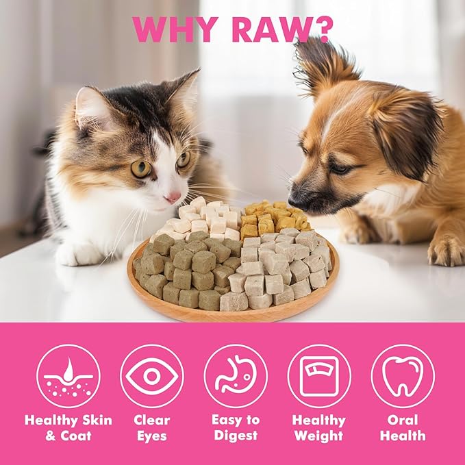 Freeze Dried Cats & Dogs Raw Treats, All Natural Single Ingredient Salmon, High Protein Healthy Pet Training Treats or Food Topper, 10.6 oz