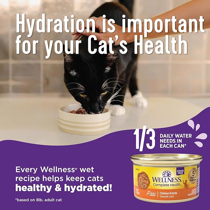 Wellness Complete Health Gravy Adult Wet Cat Food, Natural, Protein-Rich, Grain Free, 5.5 Ounce, 12 Pack, (Turkey Dinner)
