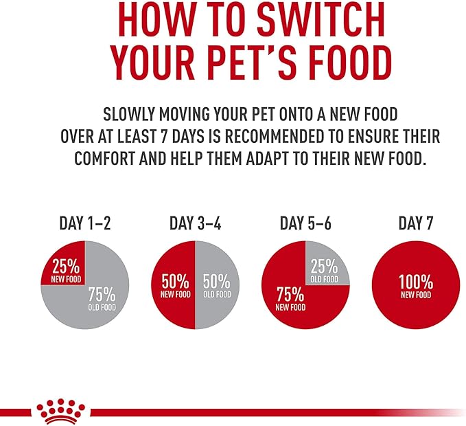 Royal Canin Feline Digestive Care Thin Slices in Gravy Wet Cat Food, 3 oz can (24-count)