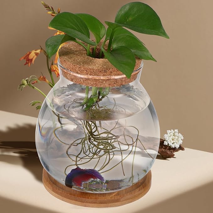 Desktop Fish Bowl Clear Glass Small Betta Fish Tank with Wood Lid and Bamboo Stand Table Hydroponic Plants Terrarium for Home Office Decoration 13 * 14cm